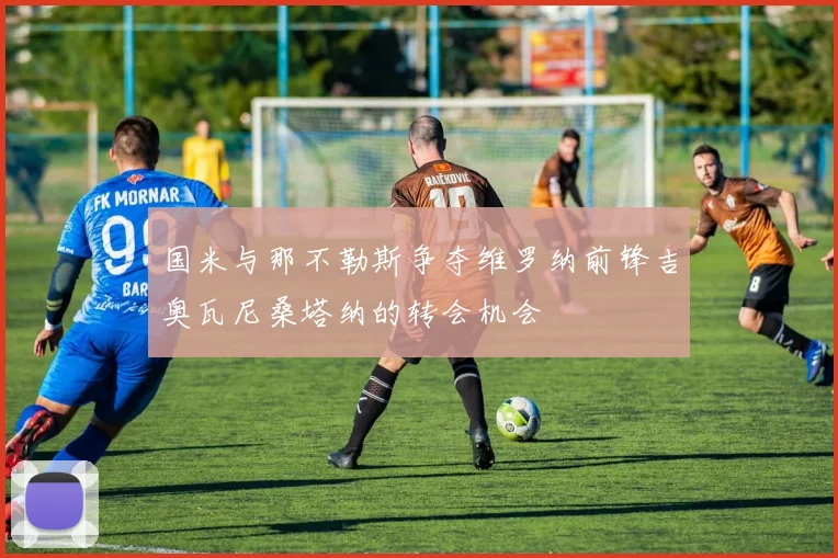 国米与那不勒斯争夺维罗纳前锋吉奥瓦尼桑塔纳的转会机会