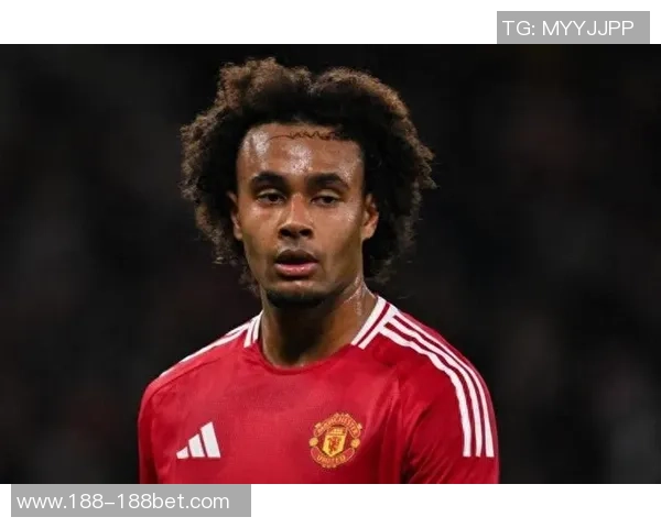 希勒称库尼亚和姆伯莫状态出色舍什科受伤影响有限 希勒称库尼亚和姆伯莫状态出色舍什科受伤影响有限